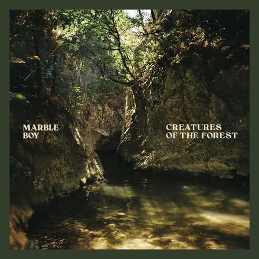 Creatures of the Forest