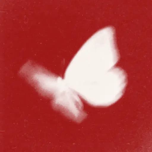 Butterfly 2026