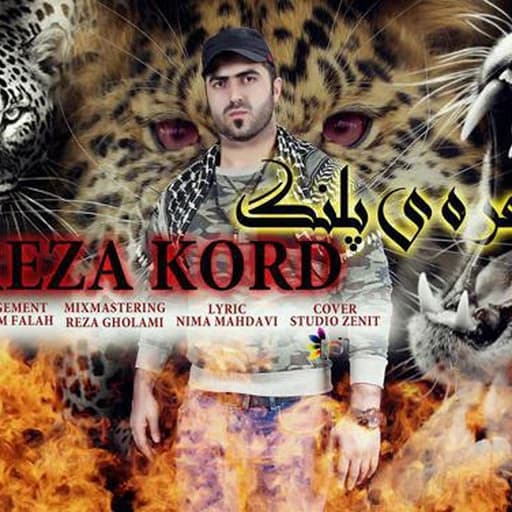 Reza Kord _ Nareye Palang
