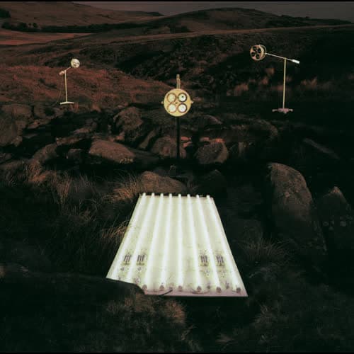 Parvaneh (Butterfly)