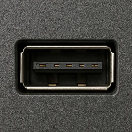 Plug Me In